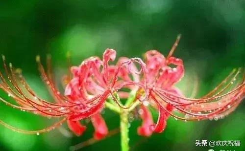 走向七十歲，寫的真好！送給群里的老哥老姐們~