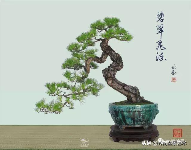 寒松縱老風骨在——賞松雜談