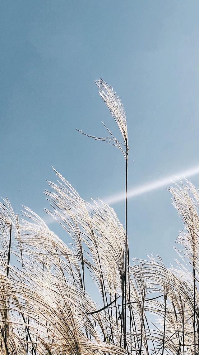 非常精彩的短語錄，放到朋友圈，贊聲一片！