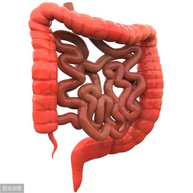 小小息肉竟是癌症的禍根！醫生提醒：息肉發生這種變化應儘快切除