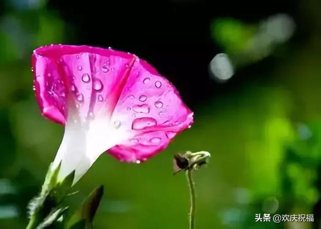 短短几句話，寫得真好！（句句戳心）