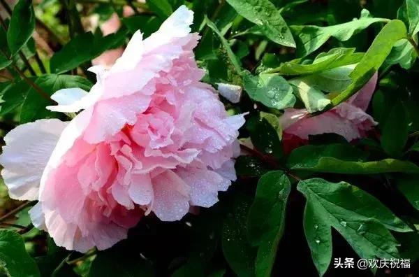 短短几句話，寫得真好！（句句戳心）