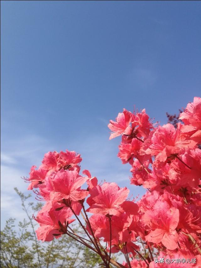 六個誤區千萬別碰，別傷害了寶寶