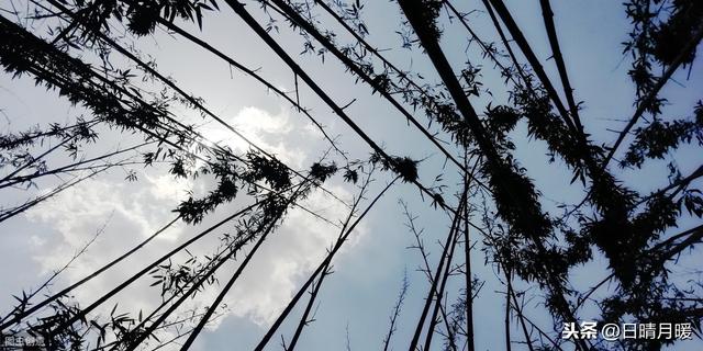 人生很長，不必慌張。你未長大，我要擔當