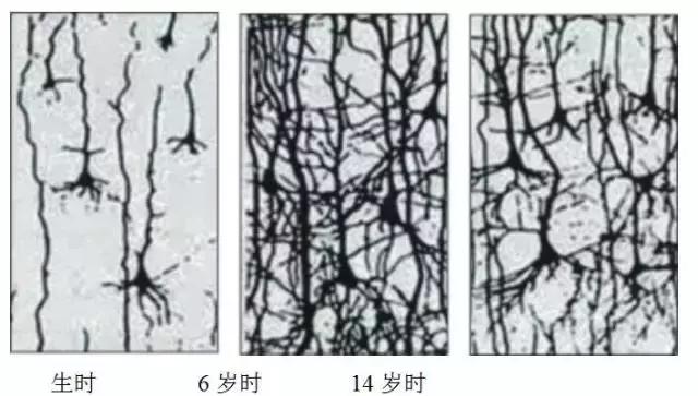 降生第一天就要開始教育，你遲了多久？長智商的最佳時期別再錯過
