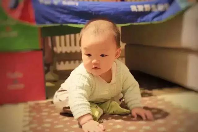 降生第一天就要開始教育，你遲了多久？長智商的最佳時期別再錯過