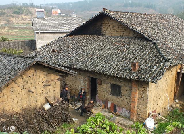 故事：兒媳婦對婆婆動了手，唯一兒子卻是十多年沒有叫媽