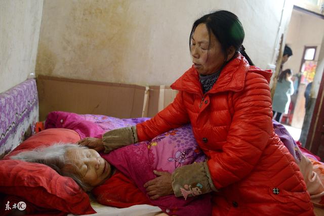 故事：兒媳婦對婆婆動了手，唯一兒子卻是十多年沒有叫媽