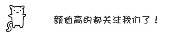 霍思燕？張雨綺？李曉峰？小料？