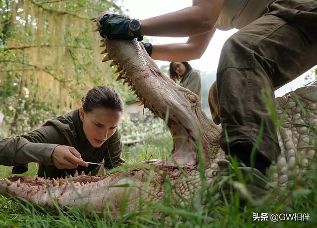 娜塔莉·波特曼：少女的天真加成人的世故
