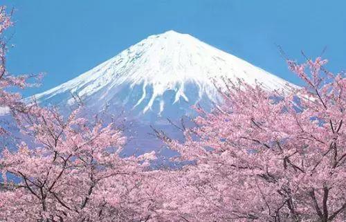 日本必去的八大景點，人少景美拍照聖地