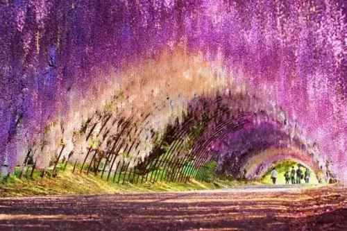 日本必去的八大景點，人少景美拍照聖地