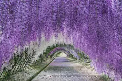 日本必去的八大景點，人少景美拍照聖地