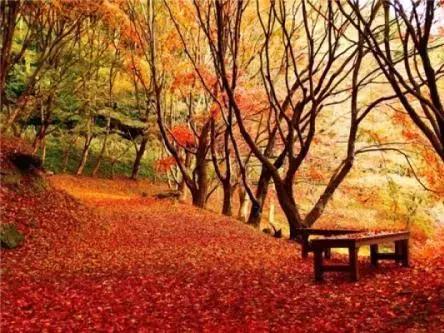 日本必去的八大景點，人少景美拍照聖地