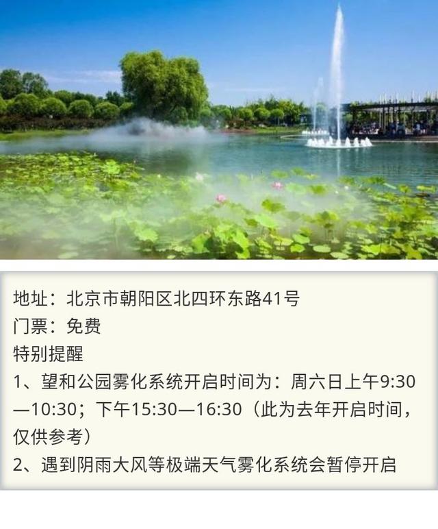 荷花到處有，可北京這裡的荷花池「自帶仙氣」，白霧繚繞如夢如幻