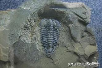 中國世界遺產數量世界第一，雲貴兩省究竟有多少？