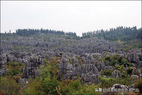中國世界遺產數量世界第一，雲貴兩省究竟有多少？