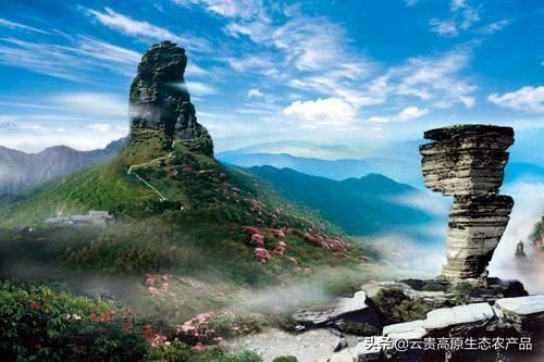 中國世界遺產數量世界第一，雲貴兩省究竟有多少？