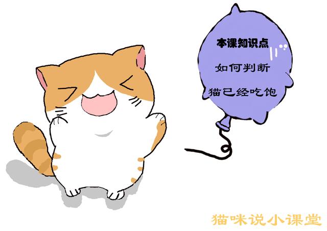如何判斷貓已吃飽，貓吃飽後的3種表現，貓有時會裝出飢餓狀態