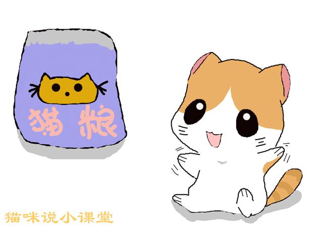 如何判斷貓已吃飽，貓吃飽後的3種表現，貓有時會裝出飢餓狀態