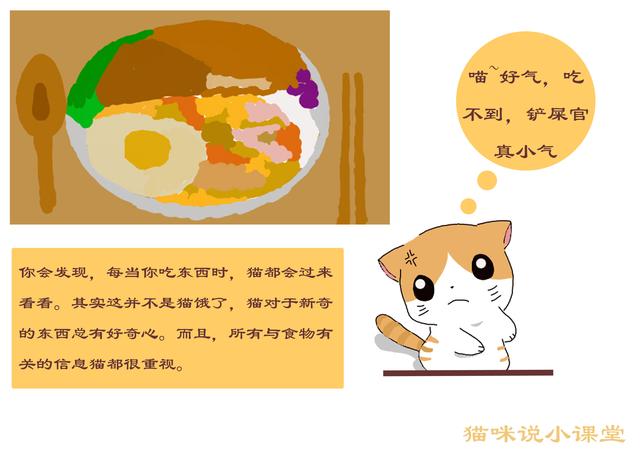 如何判斷貓已吃飽，貓吃飽後的3種表現，貓有時會裝出飢餓狀態