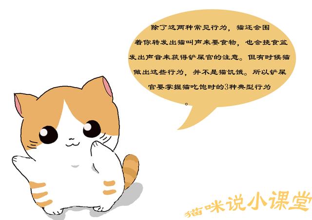 如何判斷貓已吃飽，貓吃飽後的3種表現，貓有時會裝出飢餓狀態