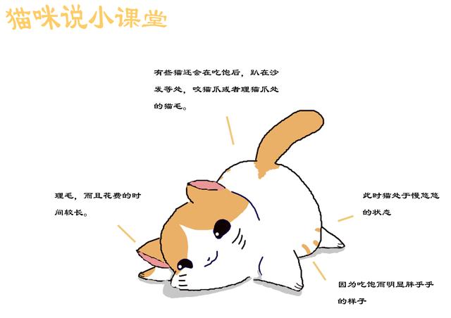 如何判斷貓已吃飽，貓吃飽後的3種表現，貓有時會裝出飢餓狀態