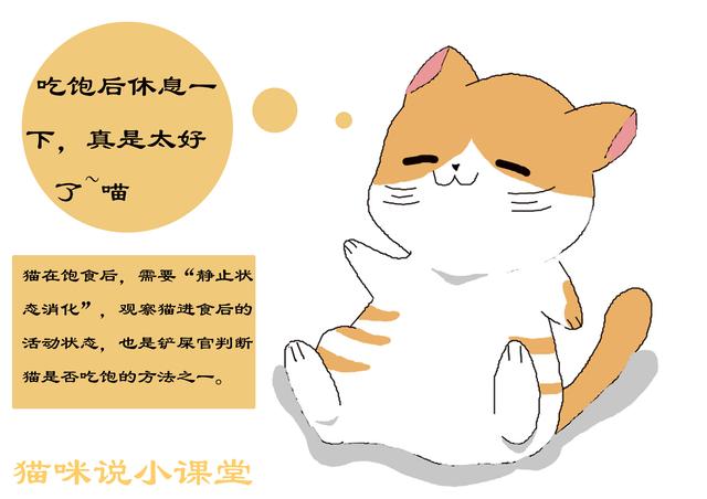 如何判斷貓已吃飽，貓吃飽後的3種表現，貓有時會裝出飢餓狀態