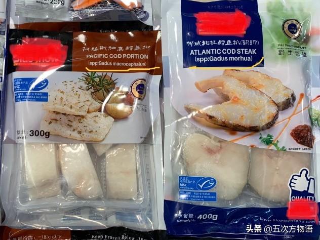青島人瞧不上眼的「大頭腥」，其實和格陵蘭鱈魚是一回事