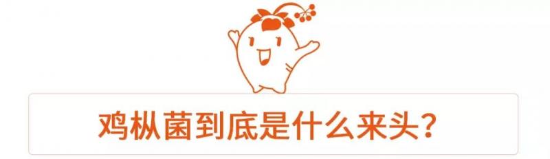 這道飯桌上的美味佳肴，竟是「菌中之王」！營養價值極高