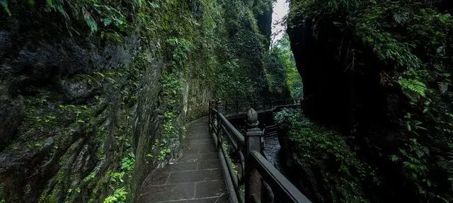涼到這份上的峨眉山，我偏要推它一把