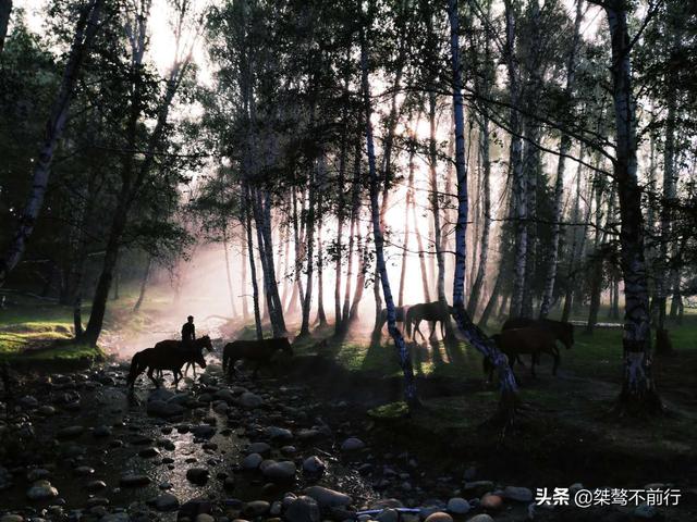 北疆之旅（連載7-18）：Day6 晨霧中看禾木，烈日下飽覽五彩灘
