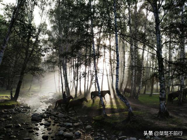 北疆之旅（連載7-18）：Day6 晨霧中看禾木，烈日下飽覽五彩灘