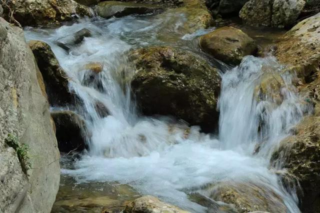 距離成都1h的避暑新地標，原始森林和水天堂，在這裡過個野趣假期