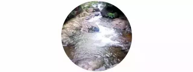 距離成都1h的避暑新地標，原始森林和水天堂，在這裡過個野趣假期