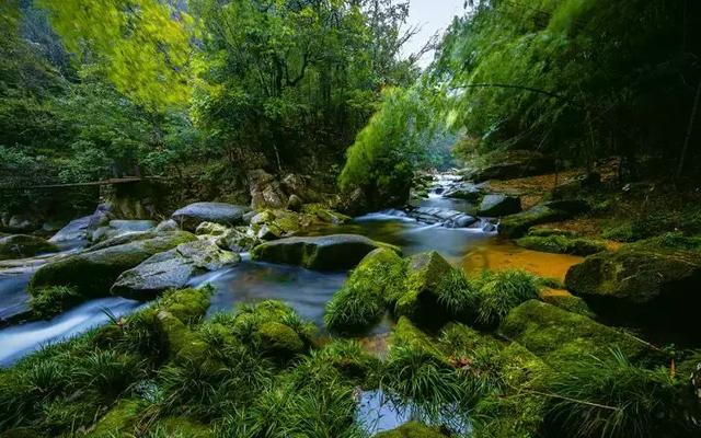距離成都1h的避暑新地標，原始森林和水天堂，在這裡過個野趣假期