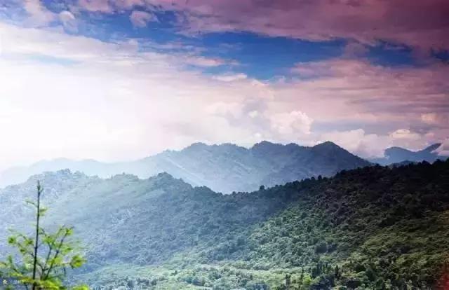 距離成都1h的避暑新地標，原始森林和水天堂，在這裡過個野趣假期