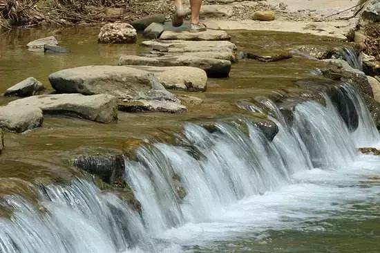 距離成都1h的避暑新地標，原始森林和水天堂，在這裡過個野趣假期