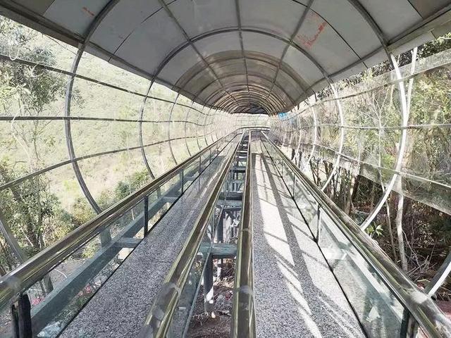 震撼！三門首座12D玻璃天橋開放！你敢嗎？