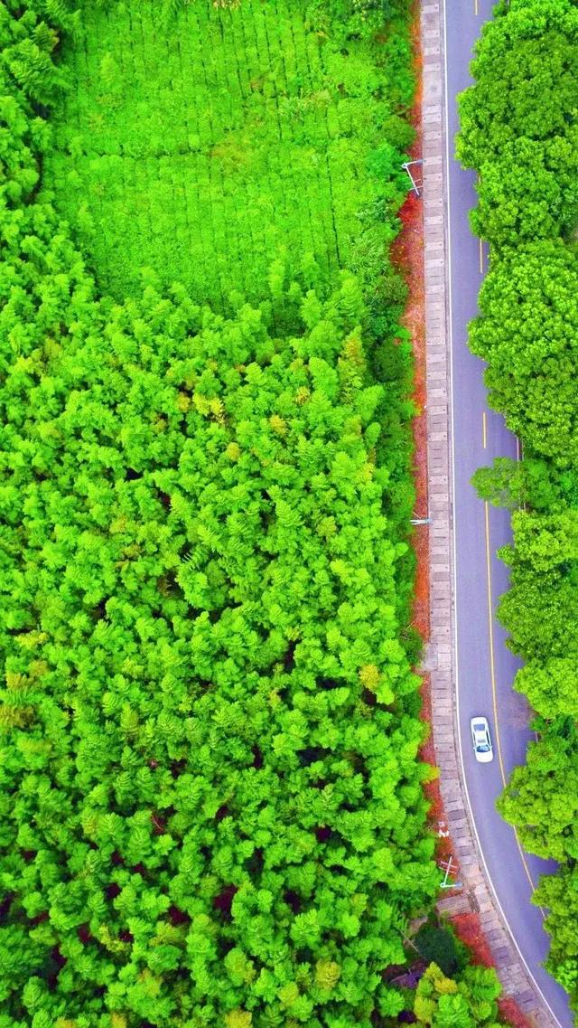 美爆！寧波這條環湖公路驚艷朋友圈！航拍照來了