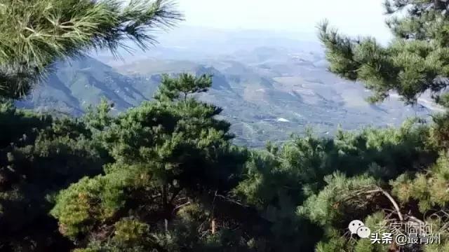 你會愛上它——魯中壩上 雲中草原張良墓