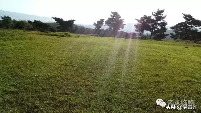 你會愛上它——魯中壩上 雲中草原張良墓