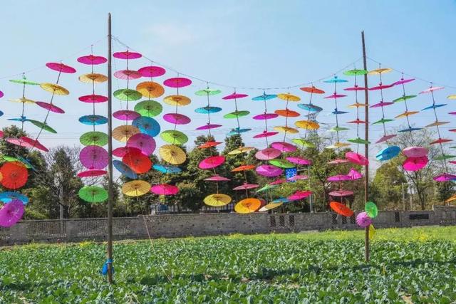 央視也吹爆，50塊錢耍一天！有百畝薰衣草花海、歐洲同款小教堂