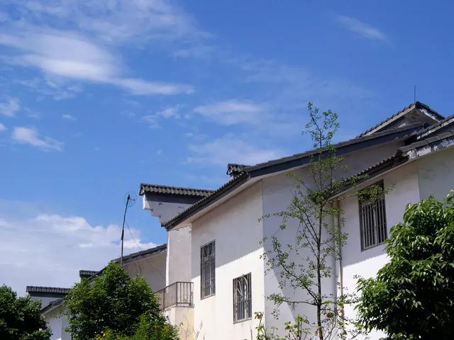 央視也吹爆，50塊錢耍一天！有百畝薰衣草花海、歐洲同款小教堂