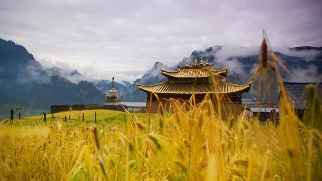 對不起，現在才介紹這片絢麗的秘境，扎尕那，內附攻略，建議收藏