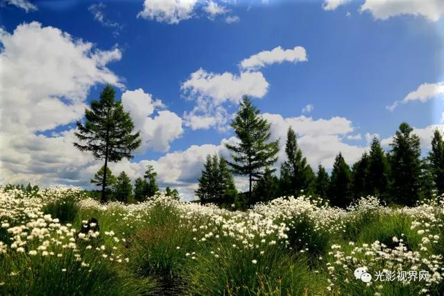 伊春濕地，一路山花不負儂