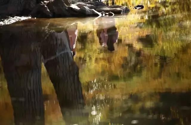 除了雨崩這個網紅村，梅里雪山下竟還有這些隔世的絕美村莊
