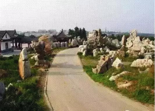 鍾靈毓秀，魅力五井！來此盡賞臨朐石林之美