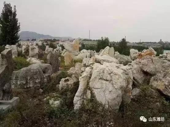 鍾靈毓秀，魅力五井！來此盡賞臨朐石林之美