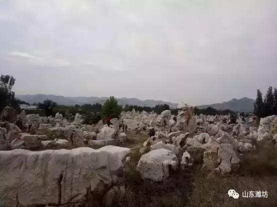 鍾靈毓秀，魅力五井！來此盡賞臨朐石林之美